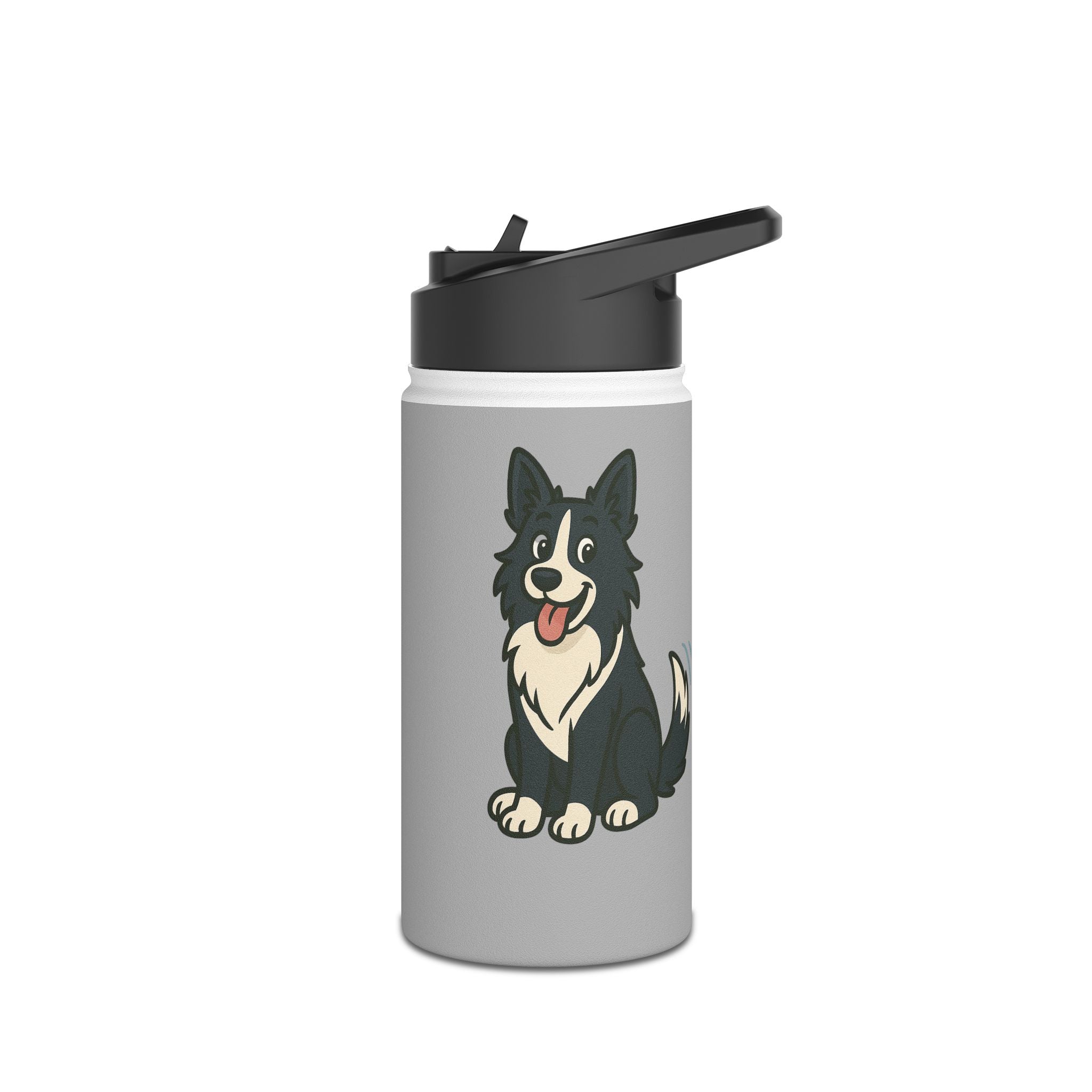 Stainless Steel Water Bottle, Standard Lid