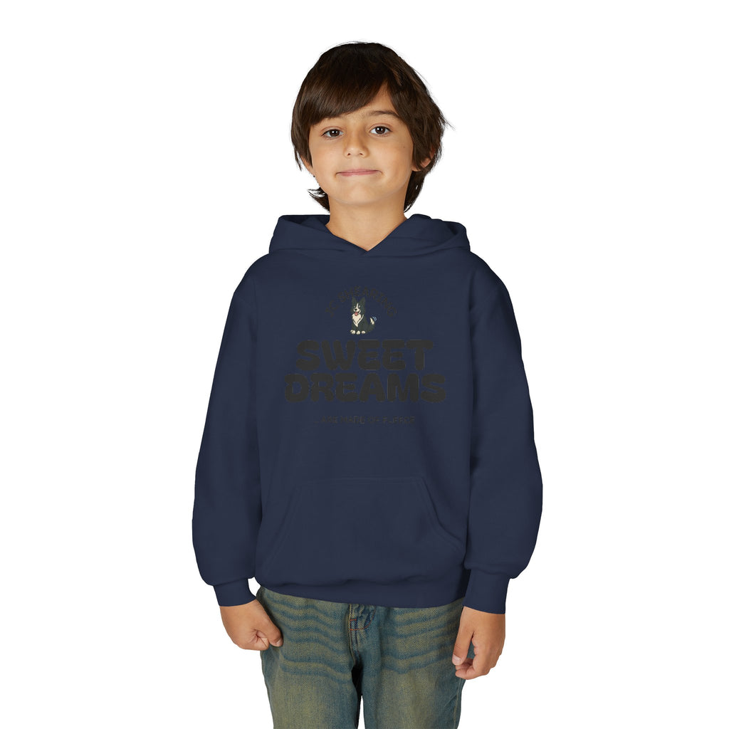 Youth Hoodie - "Sweet Dreams" Soft Illustration Pullover (JC Shearing)